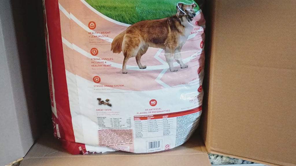 Purina ONE Puppy Formula – Strong Growth Support, High Protein, Real Chicken – 31.1 lb