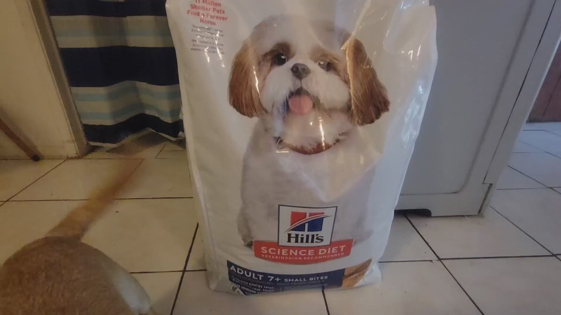 Hill’s Science Diet Senior 7+ Small Bites – Premium Nutrition, Chicken & Barley, 33 lb Bag