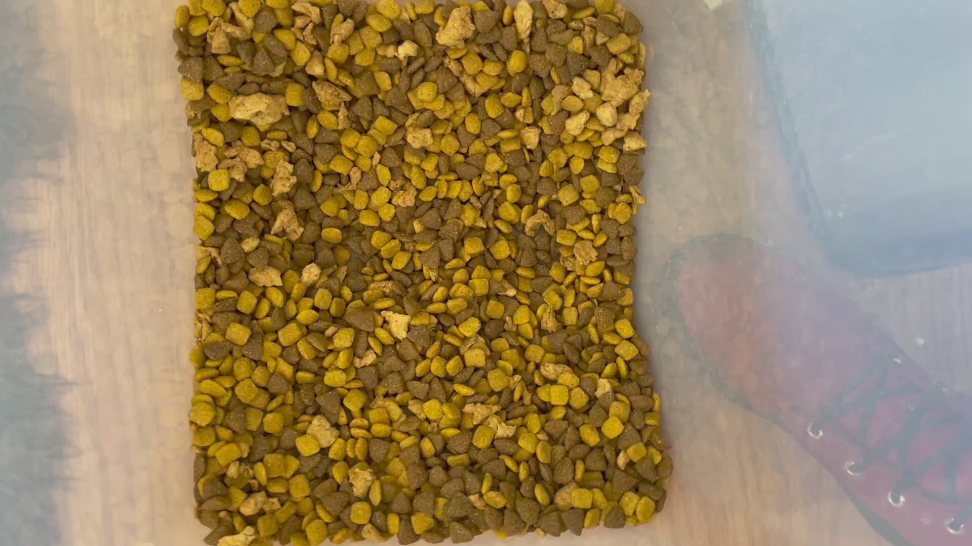 Purina ONE Puppy Formula – Strong Growth Support, High Protein, Real Chicken – 31.1 lb