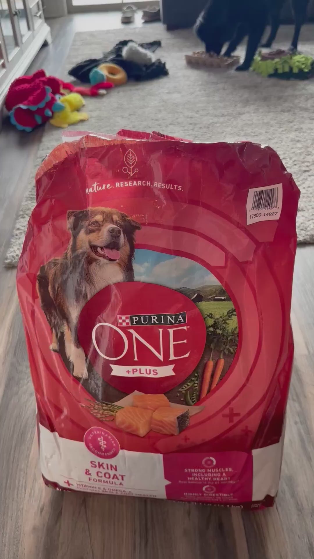 Purina ONE Plus Sensitive Stomach & Skin Dry Dog Food, Salmon – 31.1 lb Bag