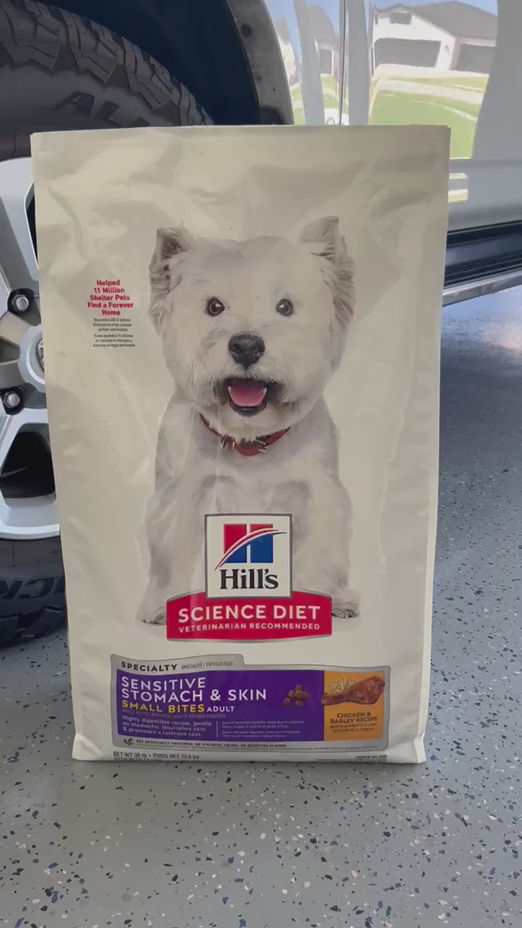 Hill's Science Diet Sensitive Stomach & Skin Adult 1–6 Dry Dog Food, Chicken Recipe, 30 lb Bag