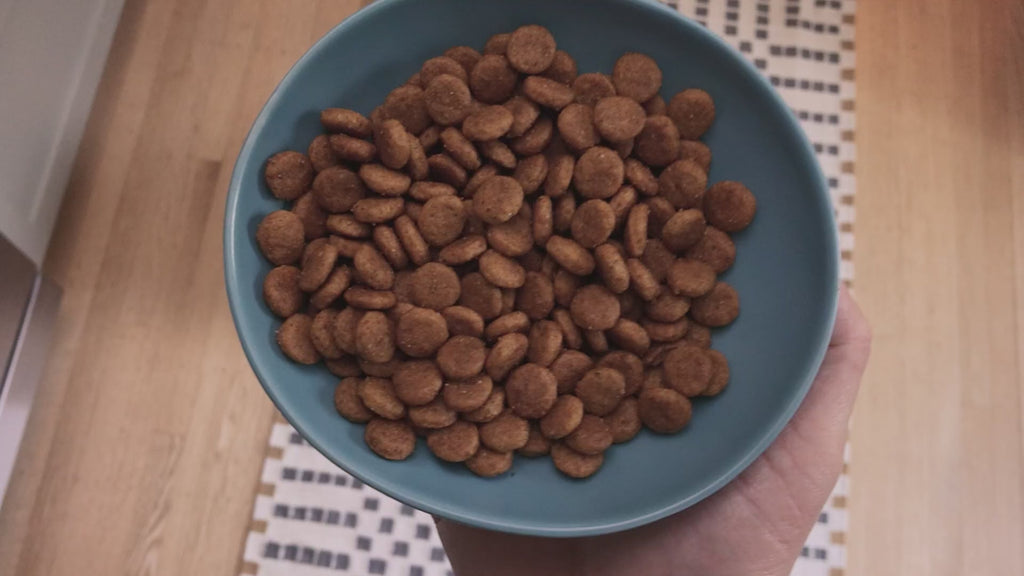 Hill's Science Diet Sensitive Stomach & Skin Adult 1–6 Dry Dog Food, Chicken Recipe, 30 lb Bag