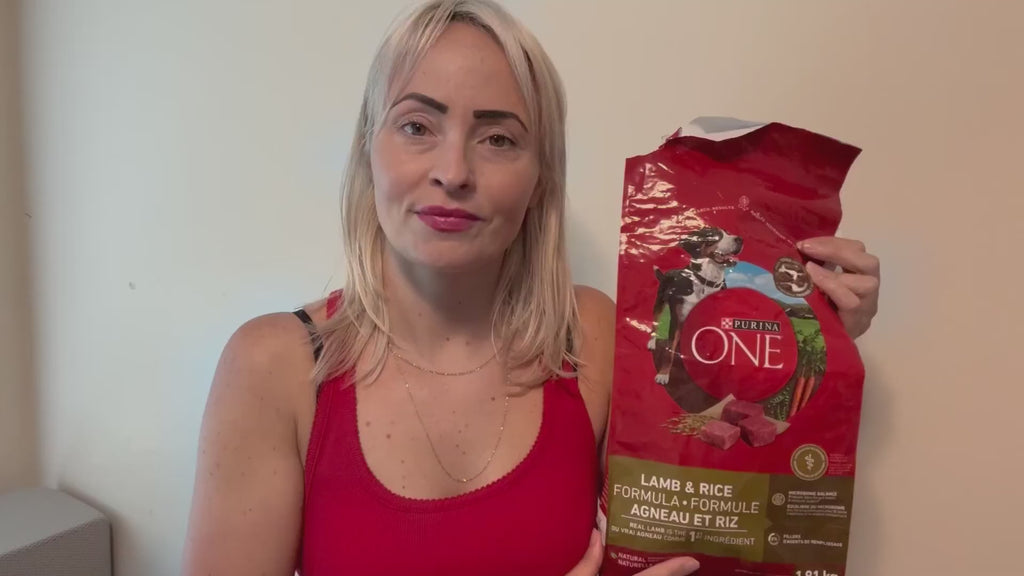 Purina ONE Chicken & Rice Formula – High Protein Dry Dog Food for Digestive Health, Strong Muscles, 31.1 lb Bag