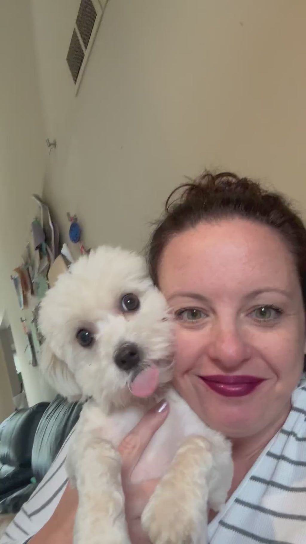 Hill's Science Diet Adult 1–6 Premium Nutrition Small Kibble Dry Dog Food, Chicken & Barley, 35 lb Bag