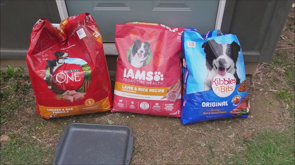 Purina ONE Chicken & Rice Formula – High Protein Dry Dog Food for Digestive Health, Strong Muscles, 31.1 lb Bag