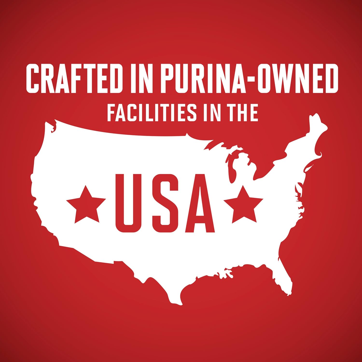 Purina ONE Plus Sensitive Stomach & Skin Dry Dog Food, Salmon – 31.1 lb Bag