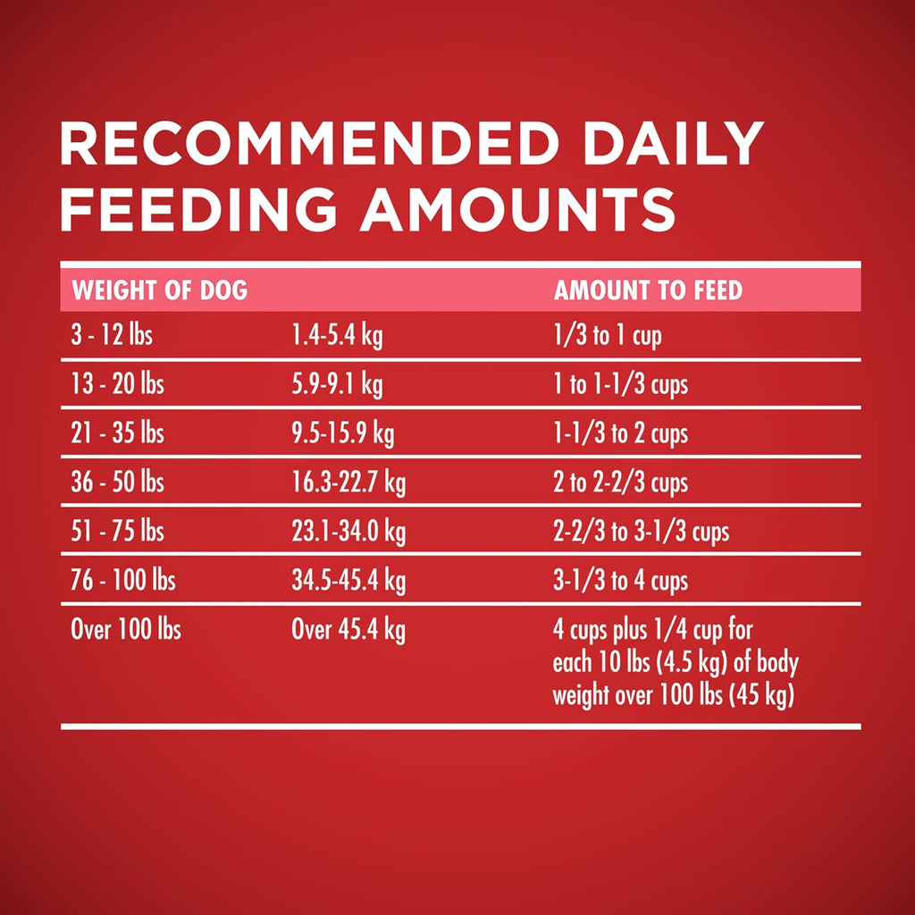 Purina ONE Plus Sensitive Stomach & Skin Dry Dog Food, Salmon – 31.1 lb Bag