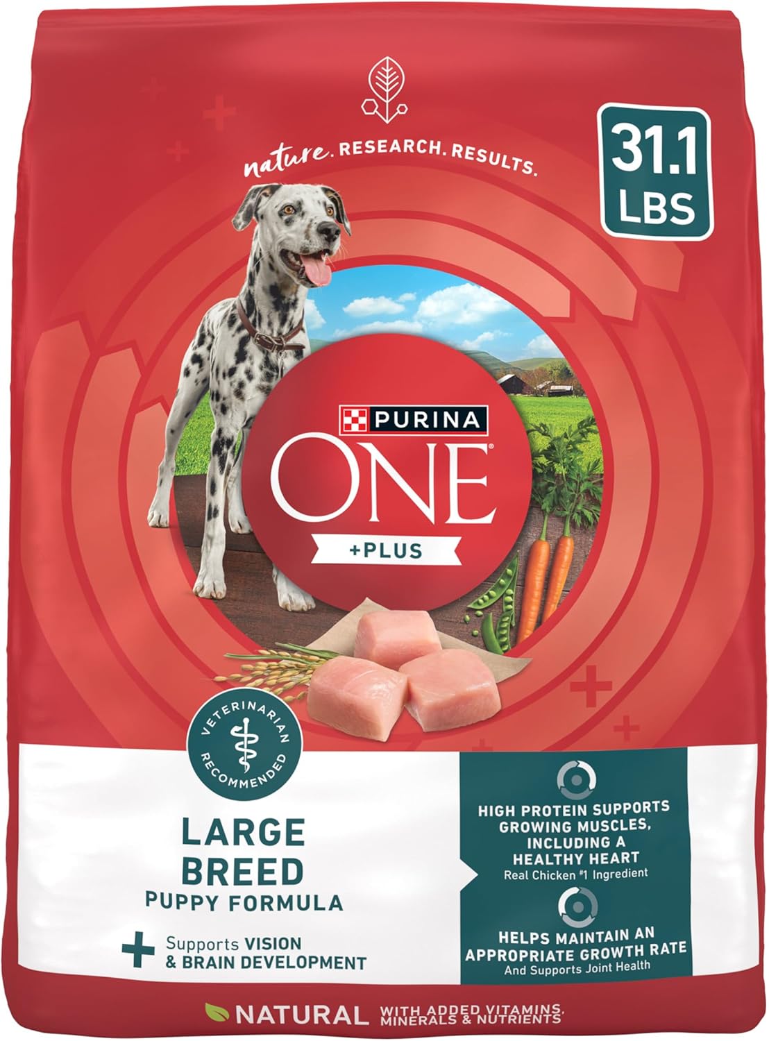 Purina ONE Puppy Formula – Strong Growth Support, High Protein, Real Chicken – 31.1 lb