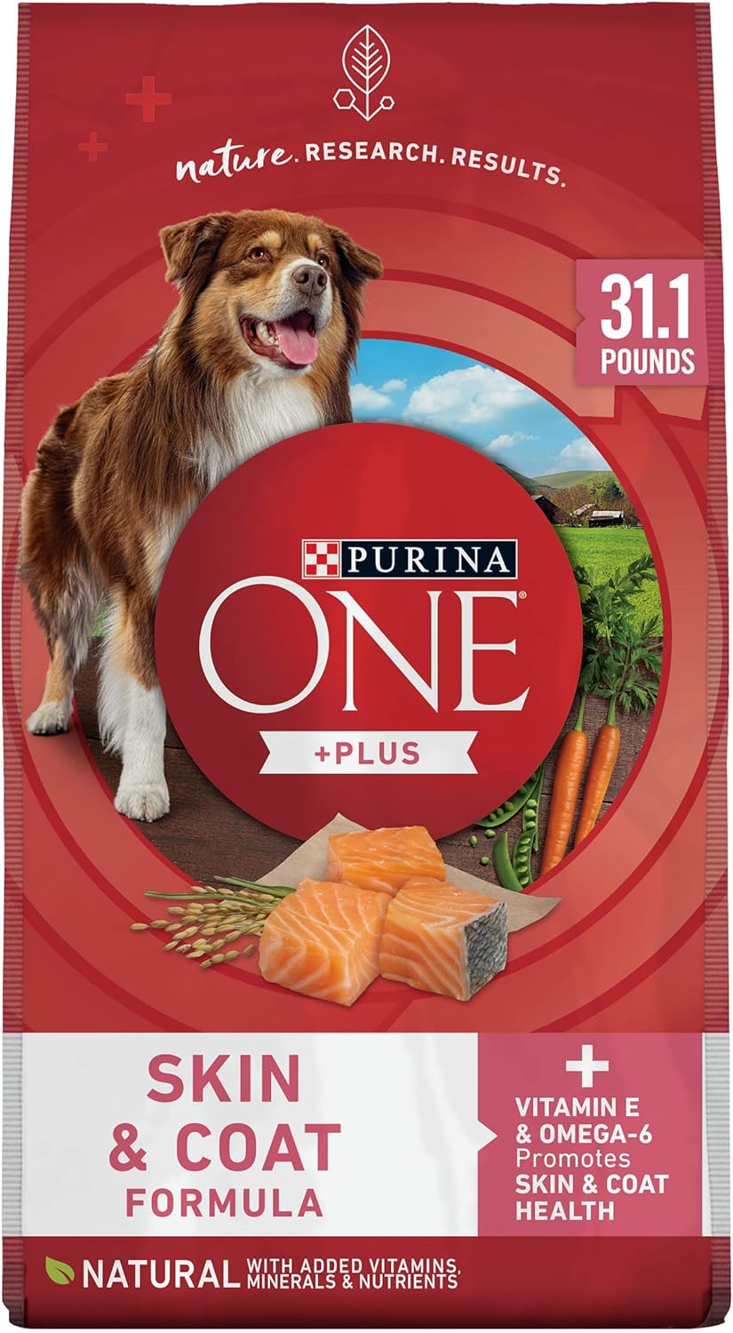Purina ONE Plus Sensitive Stomach & Skin Dry Dog Food, Salmon – 31.1 lb Bag
