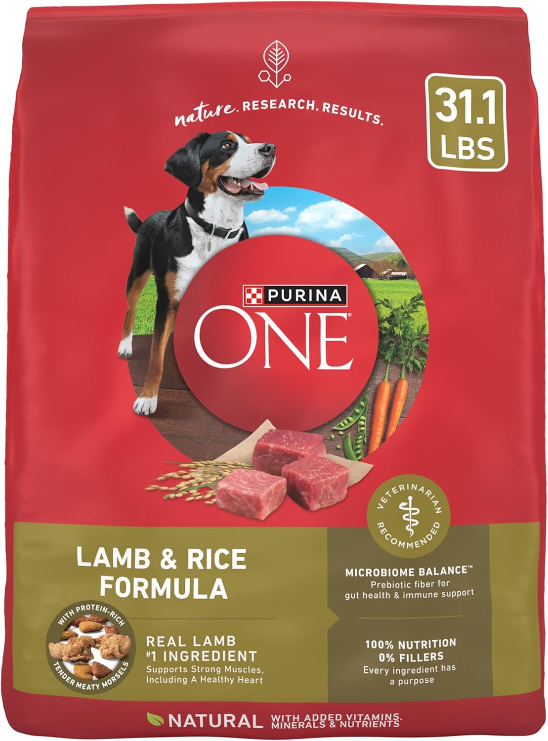 Purina ONE Chicken & Rice Formula – High Protein Dry Dog Food for Digestive Health, Strong Muscles, 31.1 lb Bag