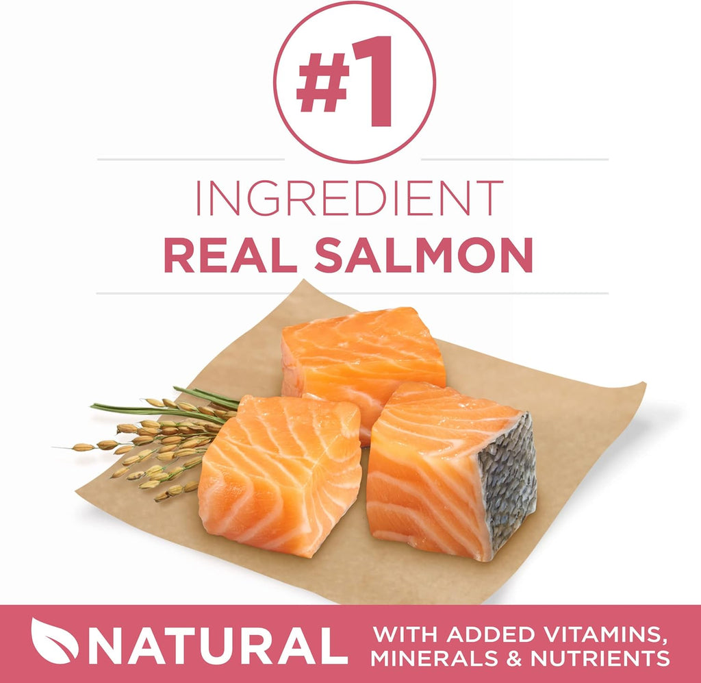 Purina ONE Plus Sensitive Stomach & Skin Dry Dog Food, Salmon – 31.1 lb Bag