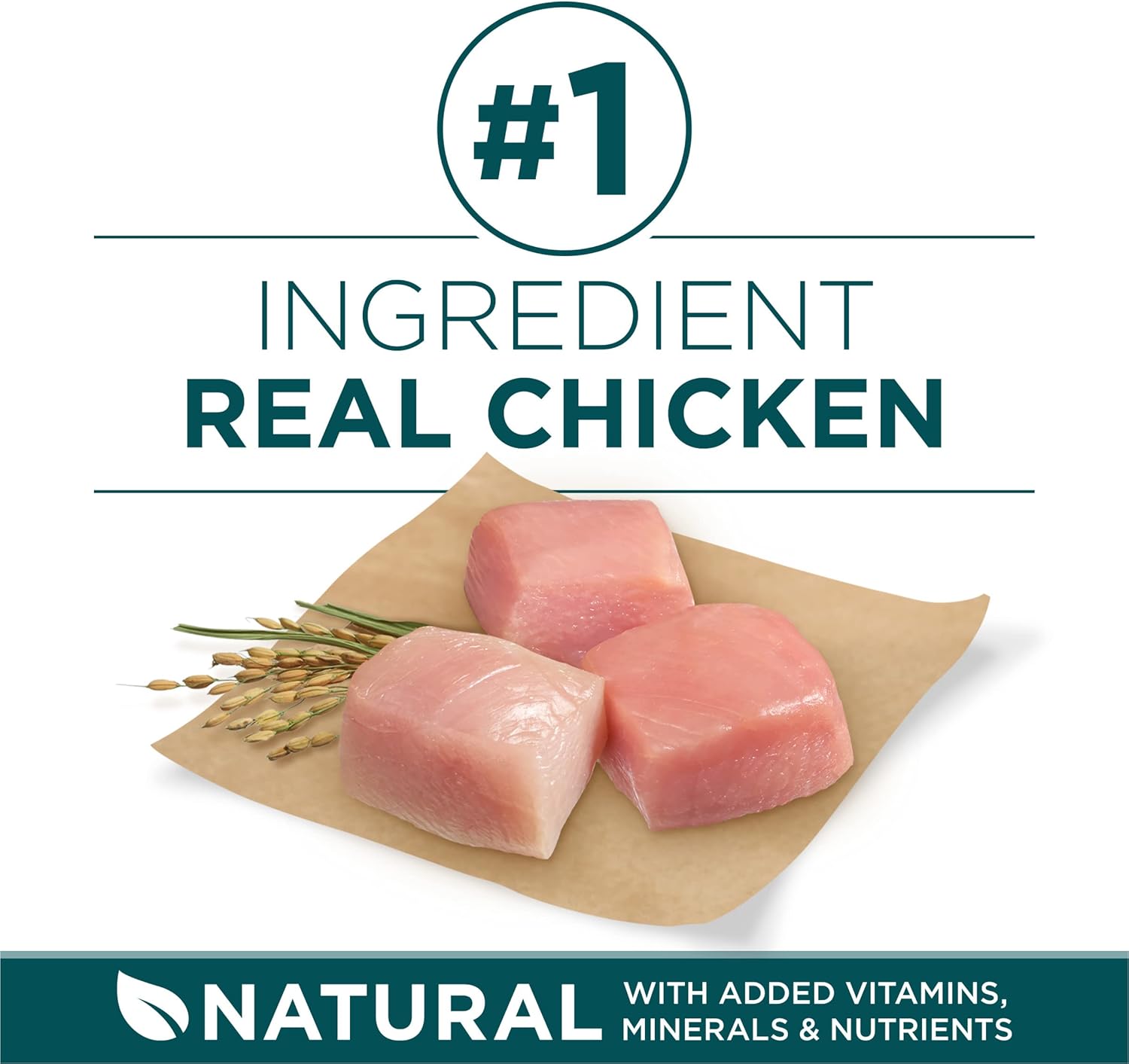 Purina ONE Puppy Formula – Strong Growth Support, High Protein, Real Chicken – 31.1 lb