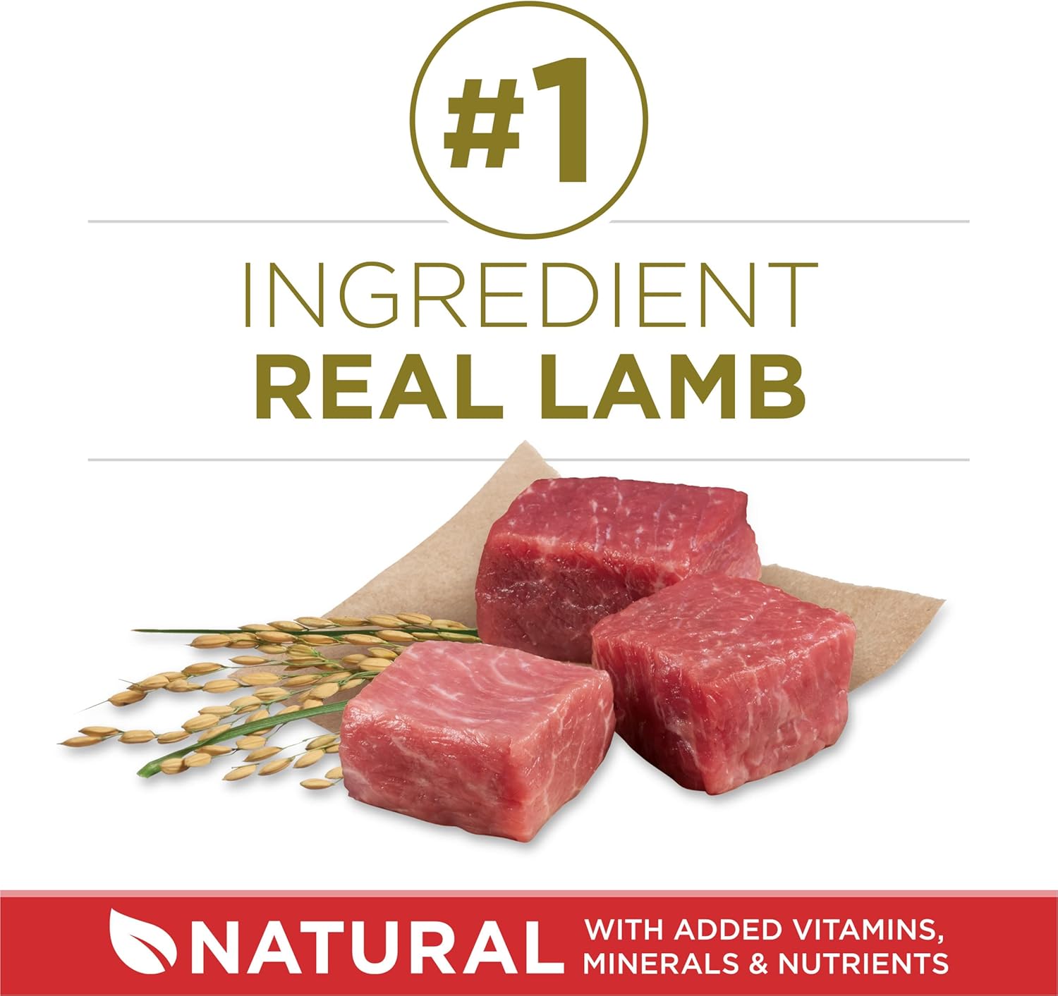 Purina ONE Chicken & Rice Formula – High Protein Dry Dog Food for Digestive Health, Strong Muscles, 31.1 lb Bag