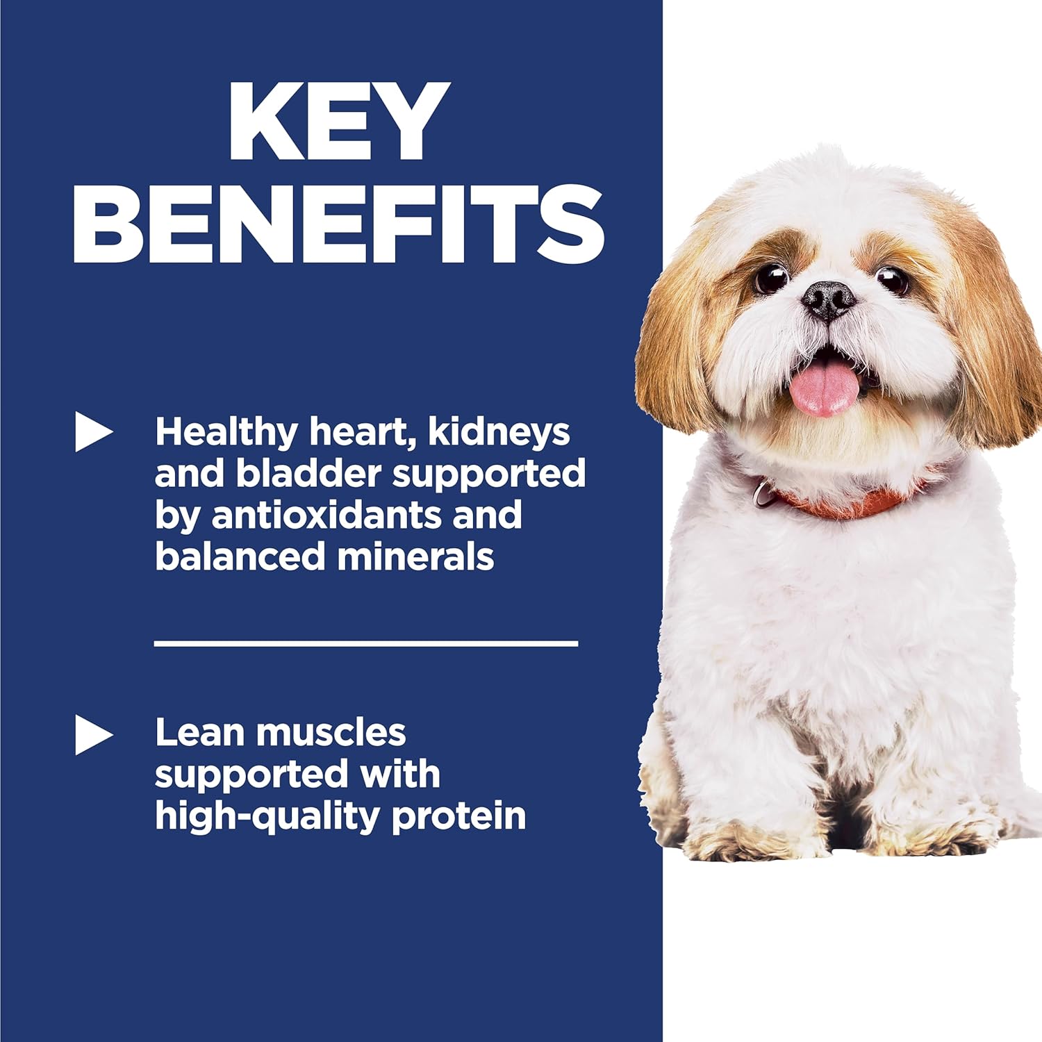 Hill’s Science Diet Senior 7+ Small Bites – Premium Nutrition, Chicken & Barley, 33 lb Bag