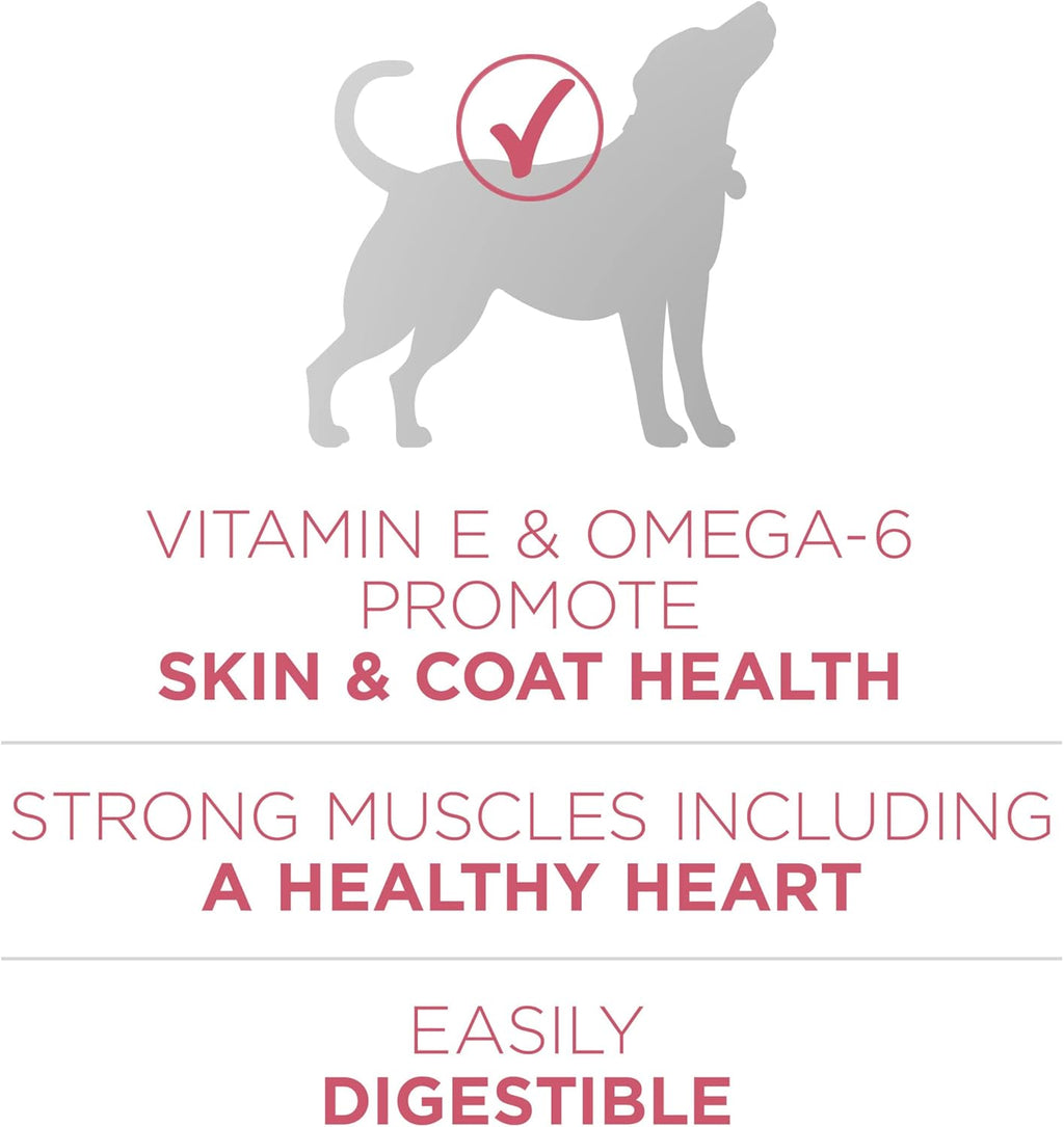 Purina ONE Plus Sensitive Stomach & Skin Dry Dog Food, Salmon – 31.1 lb Bag