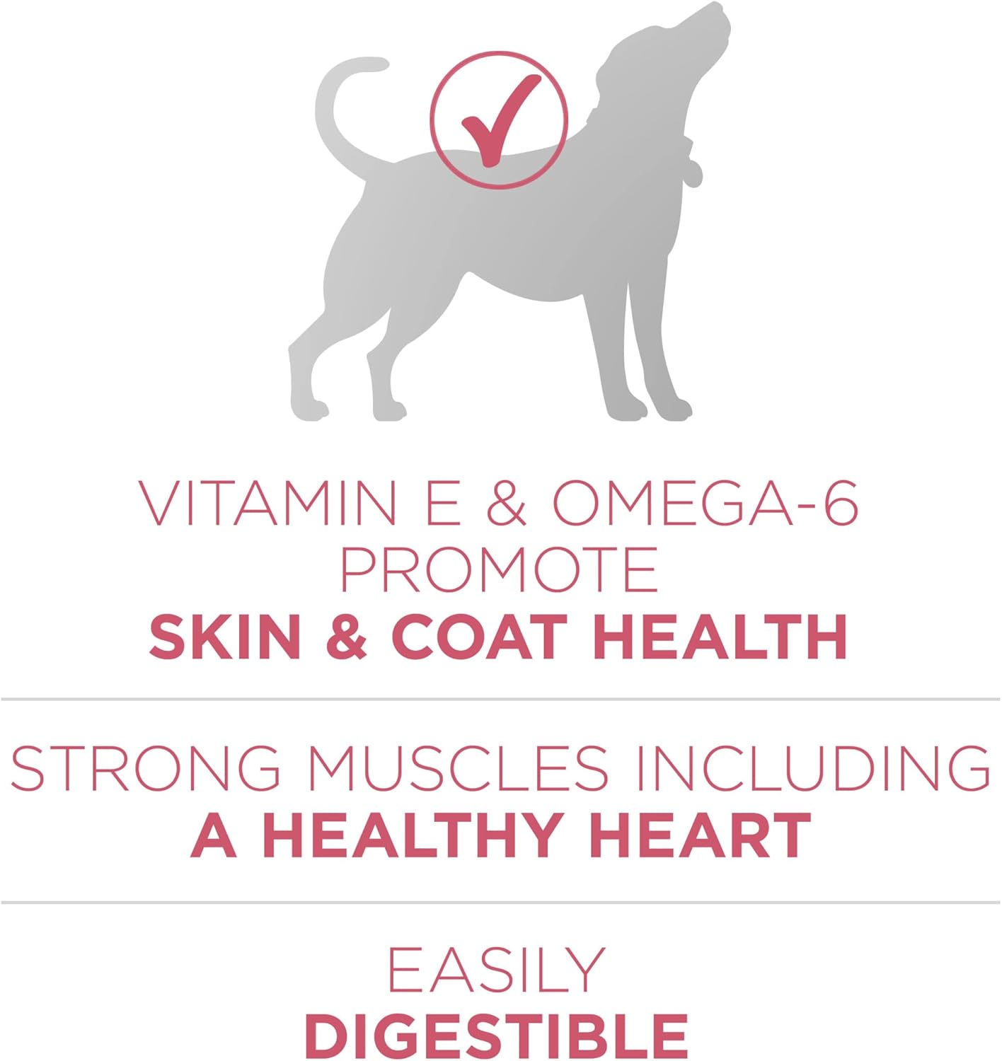 Purina ONE Plus Sensitive Stomach & Skin Dry Dog Food, Salmon – 31.1 lb Bag