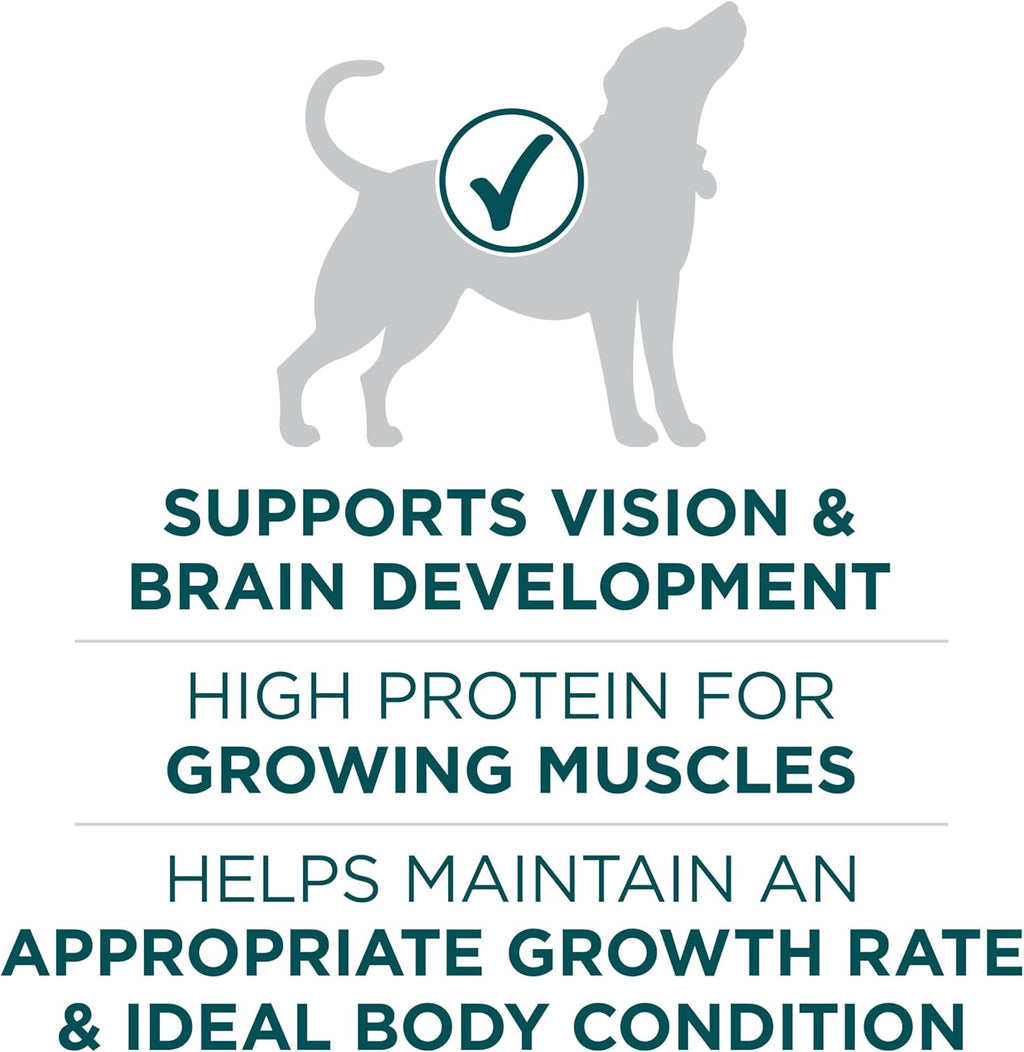 Purina ONE Puppy Formula – Strong Growth Support, High Protein, Real Chicken – 31.1 lb