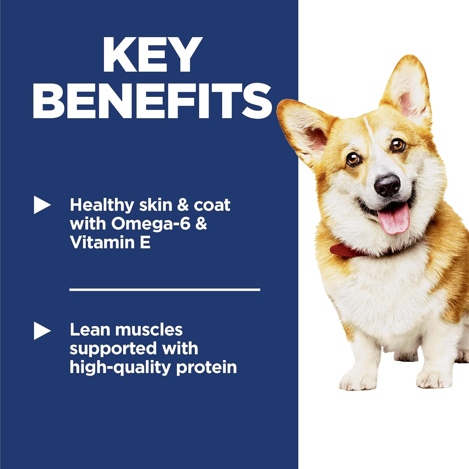 Hill's Science Diet Adult 1–6 Premium Nutrition Small Kibble Dry Dog Food, Chicken & Barley, 35 lb Bag