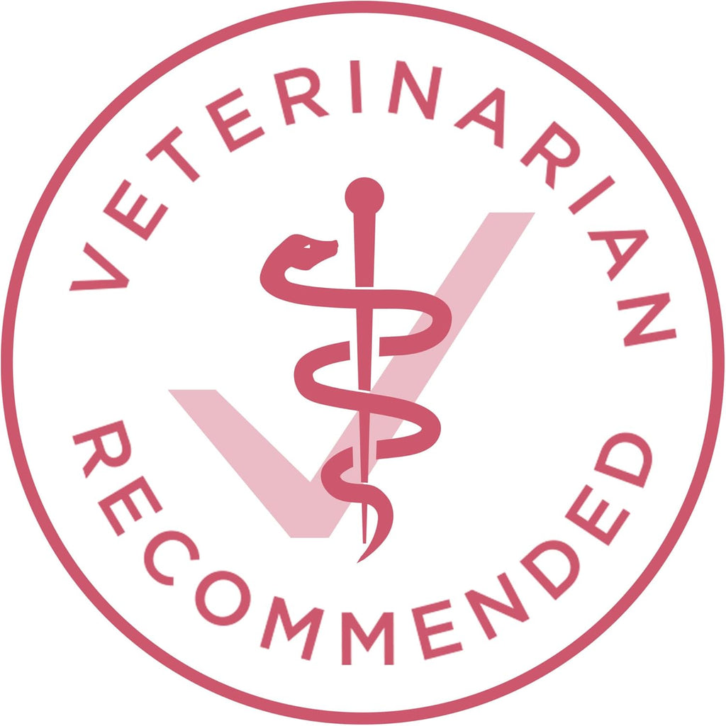 Purina ONE Plus Sensitive Stomach & Skin Dry Dog Food, Salmon – 31.1 lb Bag