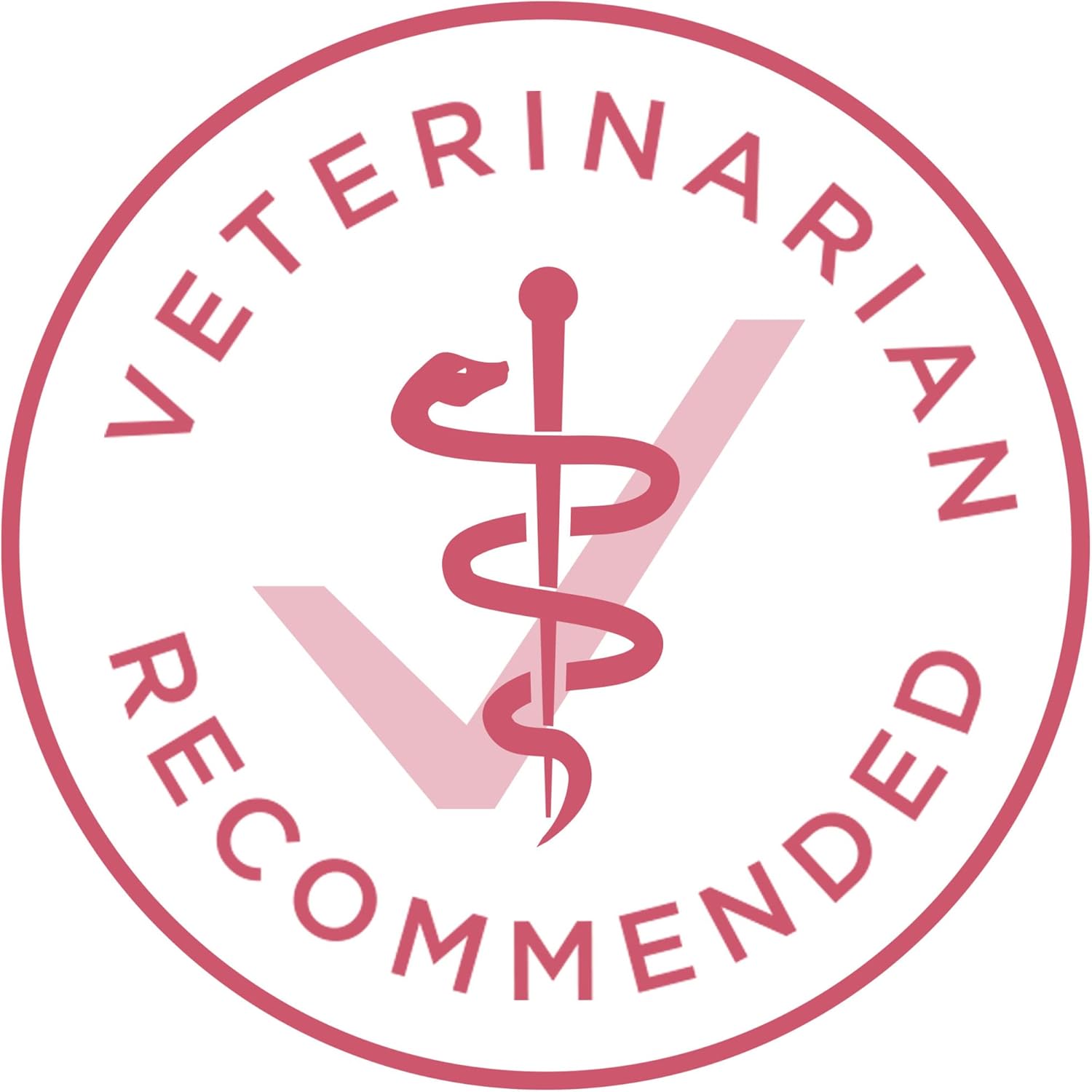 Purina ONE Plus Sensitive Stomach & Skin Dry Dog Food, Salmon – 31.1 lb Bag