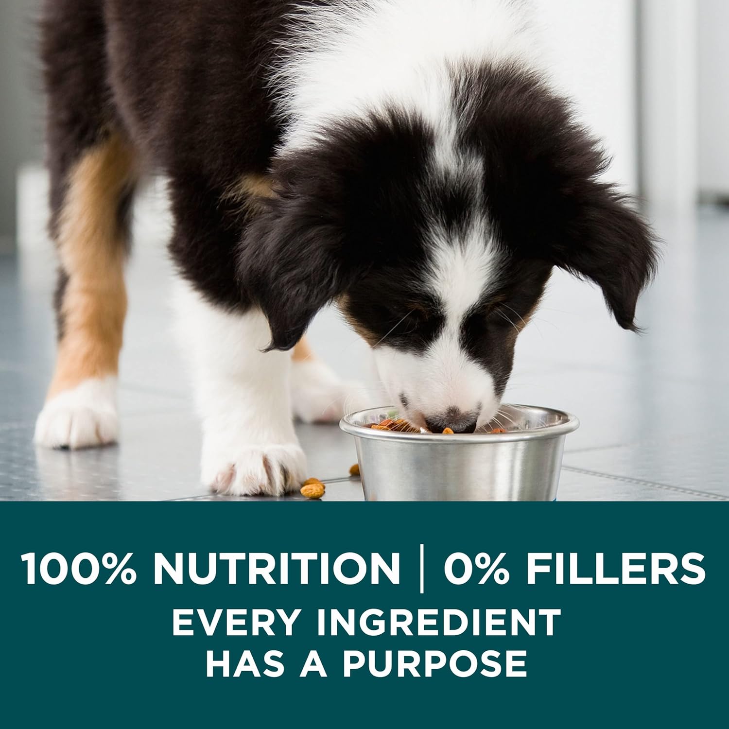 Purina ONE Puppy Formula – Strong Growth Support, High Protein, Real Chicken – 31.1 lb