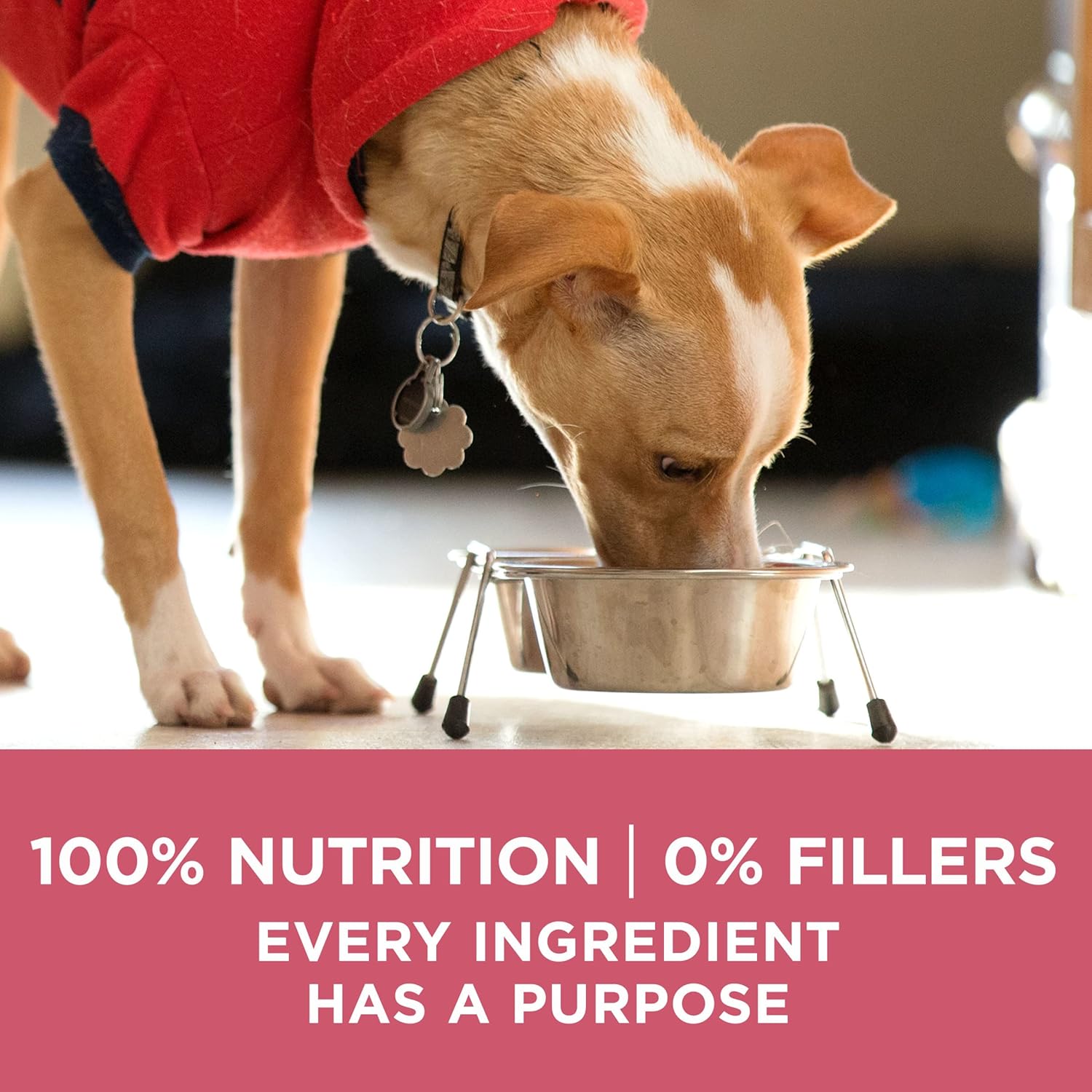 Purina ONE Plus Sensitive Stomach & Skin Dry Dog Food, Salmon – 31.1 lb Bag