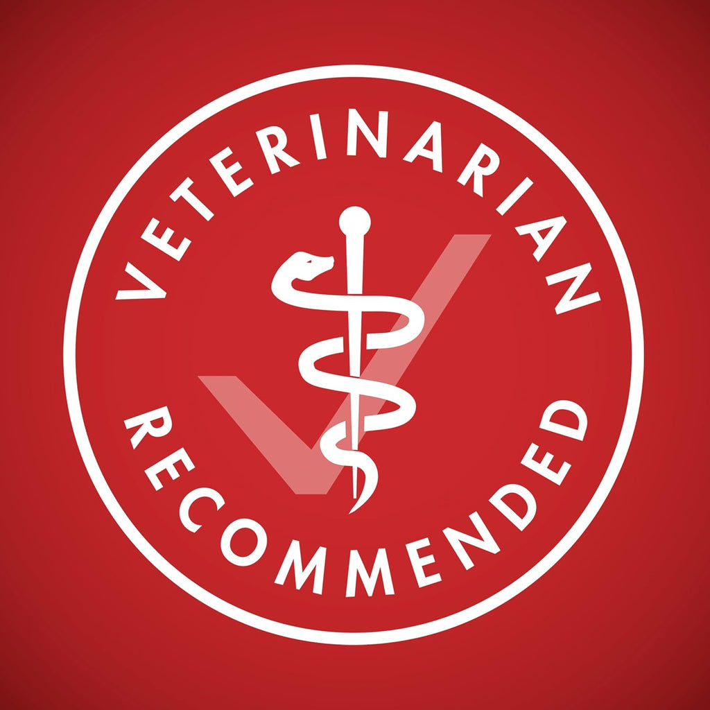 Purina ONE Chicken & Rice Formula – High Protein Dry Dog Food for Digestive Health, Strong Muscles, 31.1 lb Bag