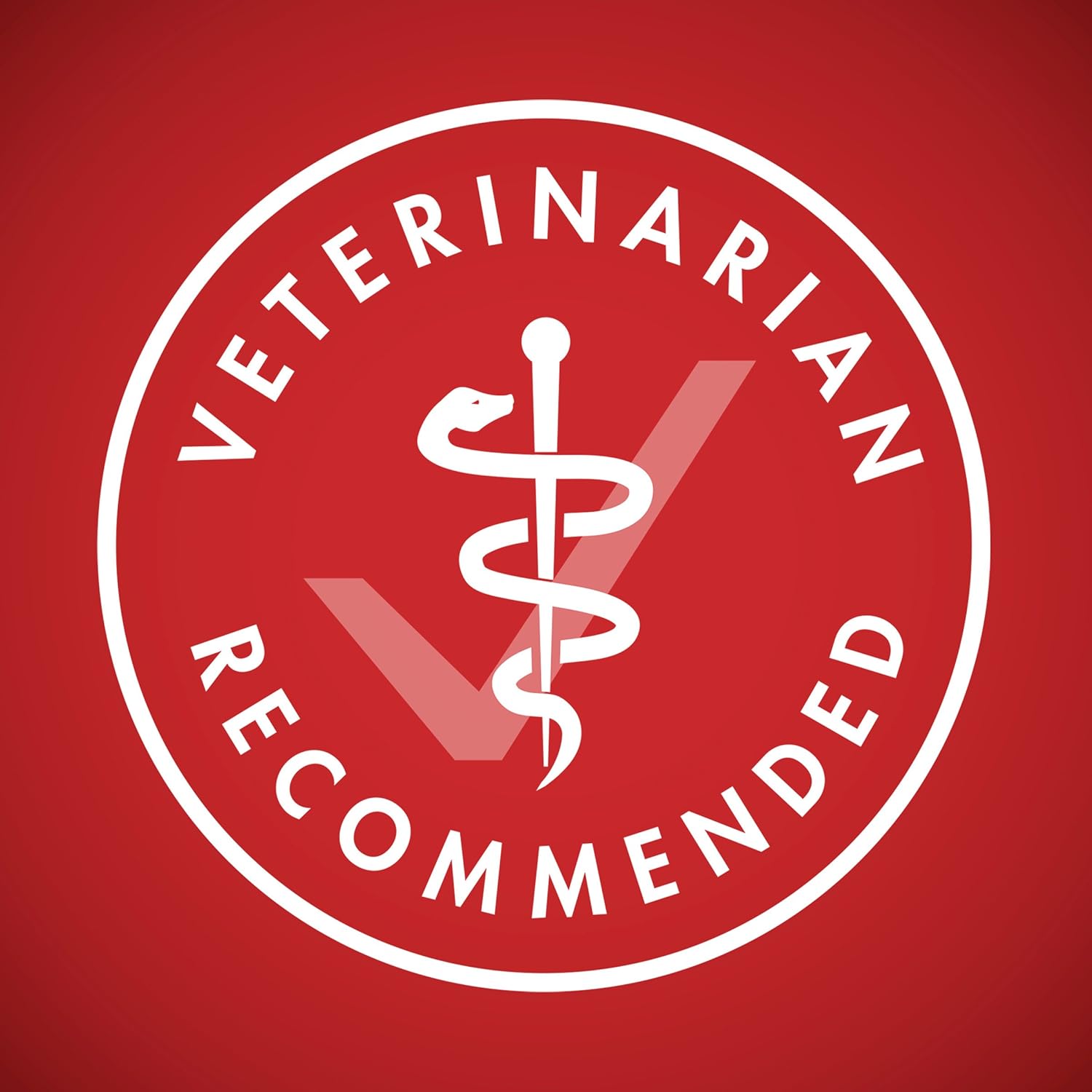 Purina ONE Chicken & Rice Formula – High Protein Dry Dog Food for Digestive Health, Strong Muscles, 31.1 lb Bag